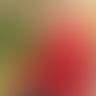 Timothéex, Un homme, 55 ans, Dinant (2)